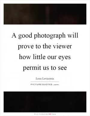 A good photograph will prove to the viewer how little our eyes permit us to see Picture Quote #1