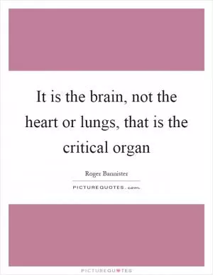 It is the brain, not the heart or lungs, that is the critical organ Picture Quote #1