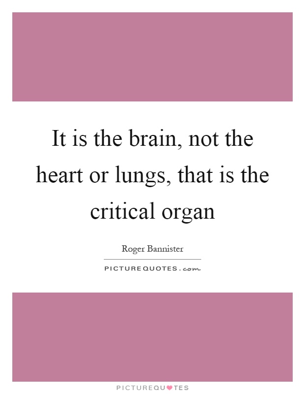 It is the brain, not the heart or lungs, that is the critical organ Picture Quote #1