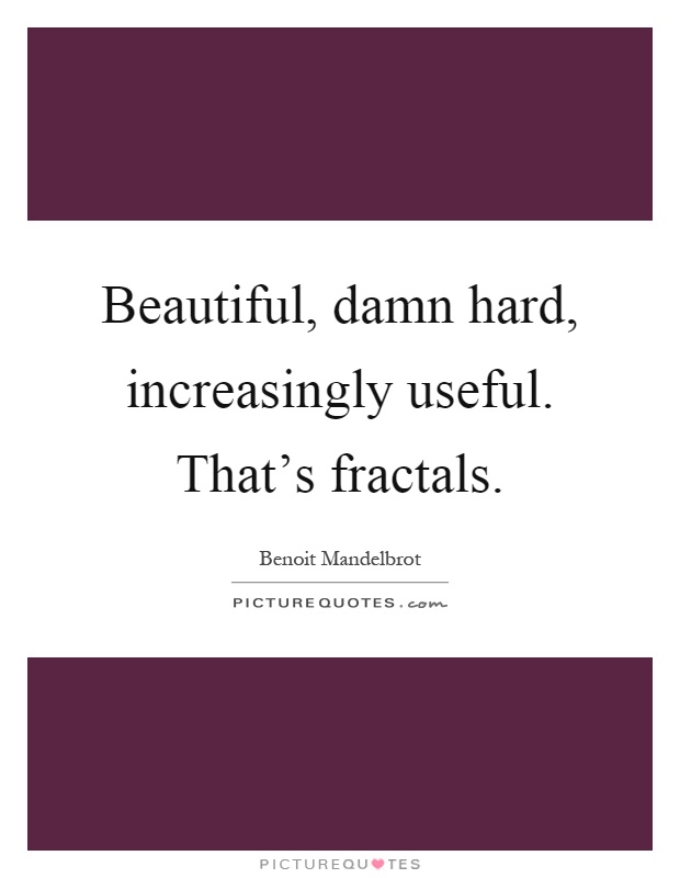 Beautiful, damn hard, increasingly useful. That's fractals Picture Quote #1