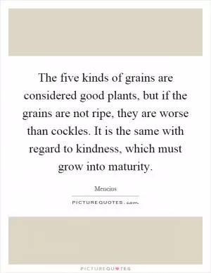 The five kinds of grains are considered good plants, but if the grains are not ripe, they are worse than cockles. It is the same with regard to kindness, which must grow into maturity Picture Quote #1