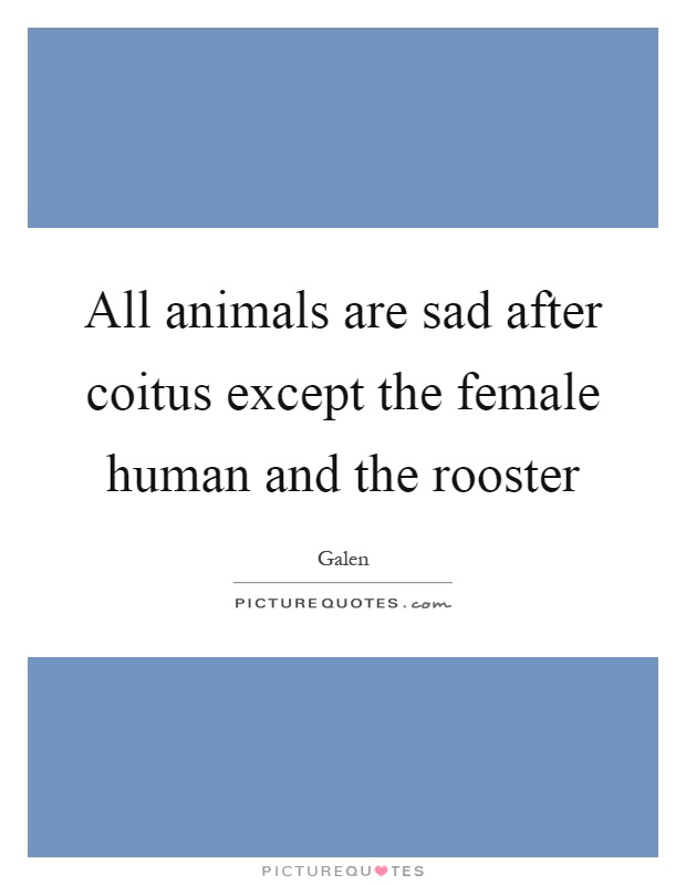 All animals are sad after coitus except the female human and the rooster Picture Quote #1