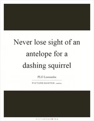 Never lose sight of an antelope for a dashing squirrel Picture Quote #1