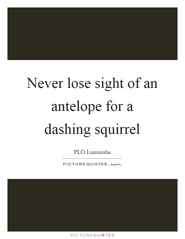 Never lose sight of an antelope for a dashing squirrel Picture Quote #1