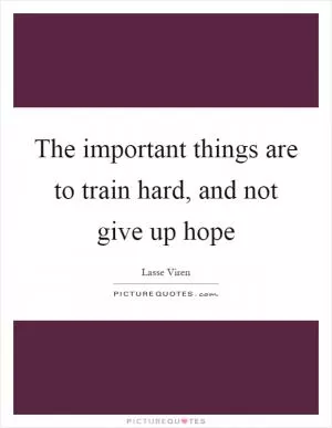 The important things are to train hard, and not give up hope Picture Quote #1