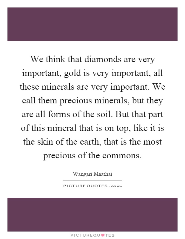 We think that diamonds are very important, gold is very important, all these minerals are very important. We call them precious minerals, but they are all forms of the soil. But that part of this mineral that is on top, like it is the skin of the earth, that is the most precious of the commons Picture Quote #1
