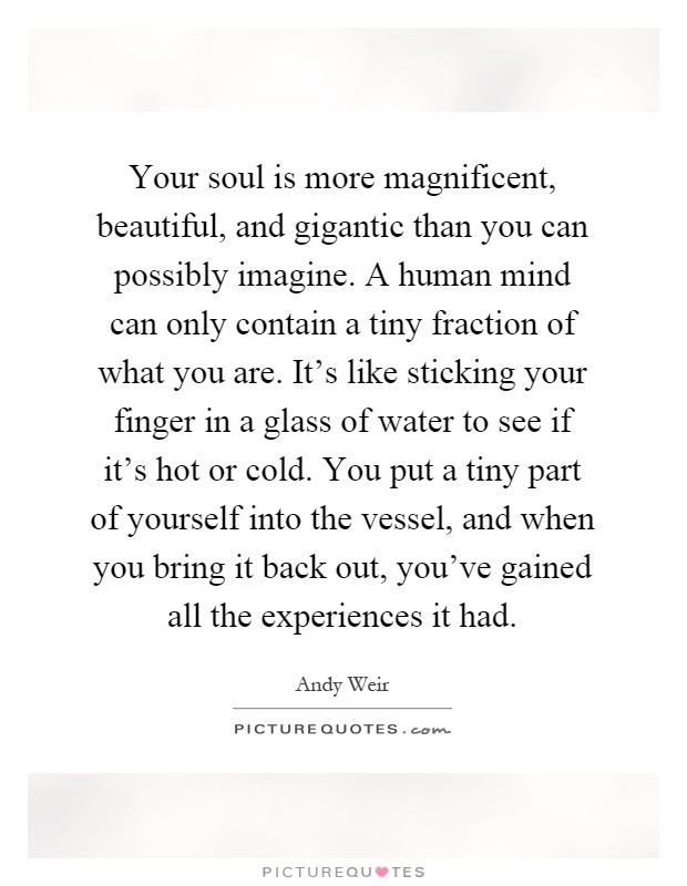 Your soul is more magnificent, beautiful, and gigantic than you can possibly imagine. A human mind can only contain a tiny fraction of what you are. It's like sticking your finger in a glass of water to see if it's hot or cold. You put a tiny part of yourself into the vessel, and when you bring it back out, you've gained all the experiences it had Picture Quote #1