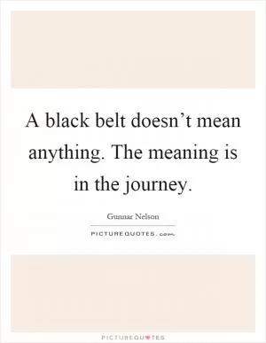 A black belt doesn’t mean anything. The meaning is in the journey Picture Quote #1
