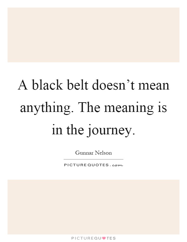 A black belt doesn't mean anything. The meaning is in the journey Picture Quote #1