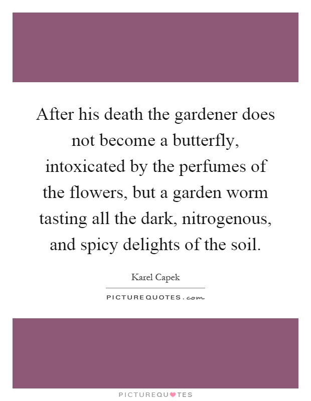 After his death the gardener does not become a butterfly, intoxicated by the perfumes of the flowers, but a garden worm tasting all the dark, nitrogenous, and spicy delights of the soil Picture Quote #1