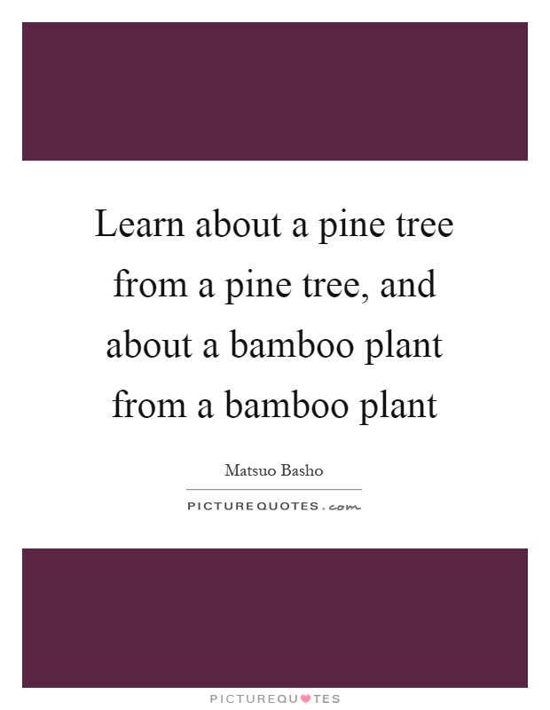 Learn about a pine tree from a pine tree, and about a bamboo plant from a bamboo plant Picture Quote #1
