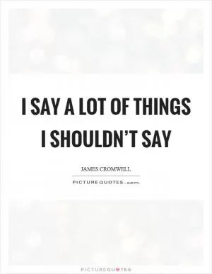 I say a lot of things I shouldn’t say Picture Quote #1