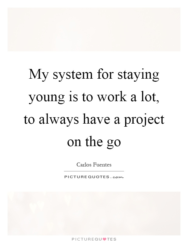 My system for staying young is to work a lot, to always have a project on the go Picture Quote #1