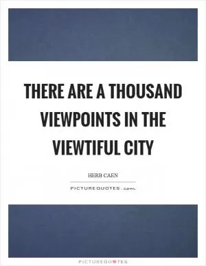 There are a thousand viewpoints in the viewtiful city Picture Quote #1