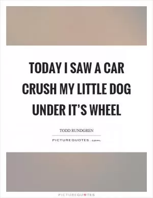 Today I saw a car crush my little dog under it’s wheel Picture Quote #1