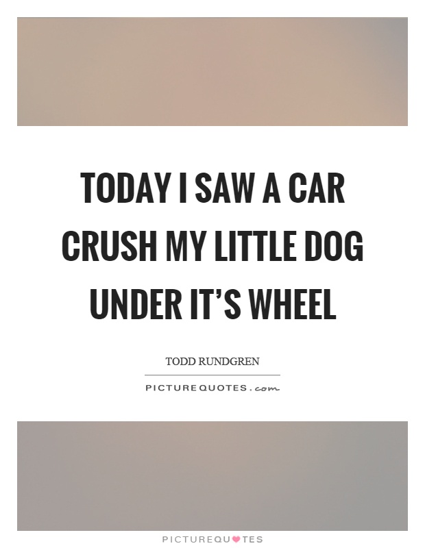Today I saw a car crush my little dog under it's wheel Picture Quote #1
