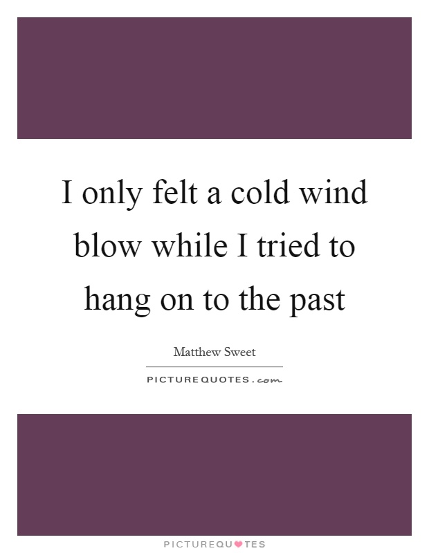 I only felt a cold wind blow while I tried to hang on to the past Picture Quote #1