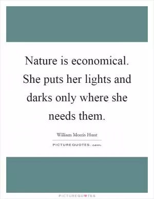 Nature is economical. She puts her lights and darks only where she needs them Picture Quote #1