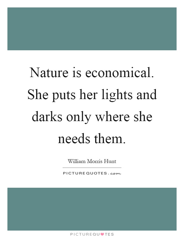 Nature is economical. She puts her lights and darks only where she needs them Picture Quote #1