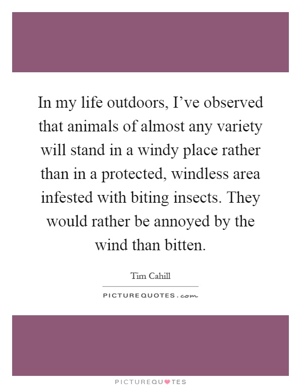 In my life outdoors, I've observed that animals of almost any variety will stand in a windy place rather than in a protected, windless area infested with biting insects. They would rather be annoyed by the wind than bitten Picture Quote #1
