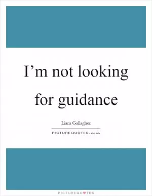 I’m not looking for guidance Picture Quote #1