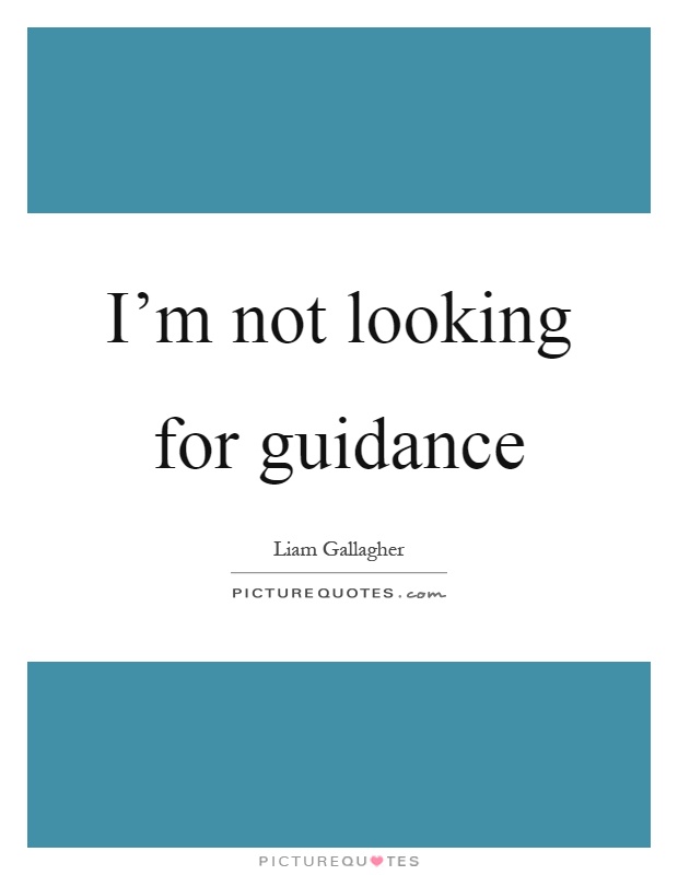 I'm not looking for guidance Picture Quote #1