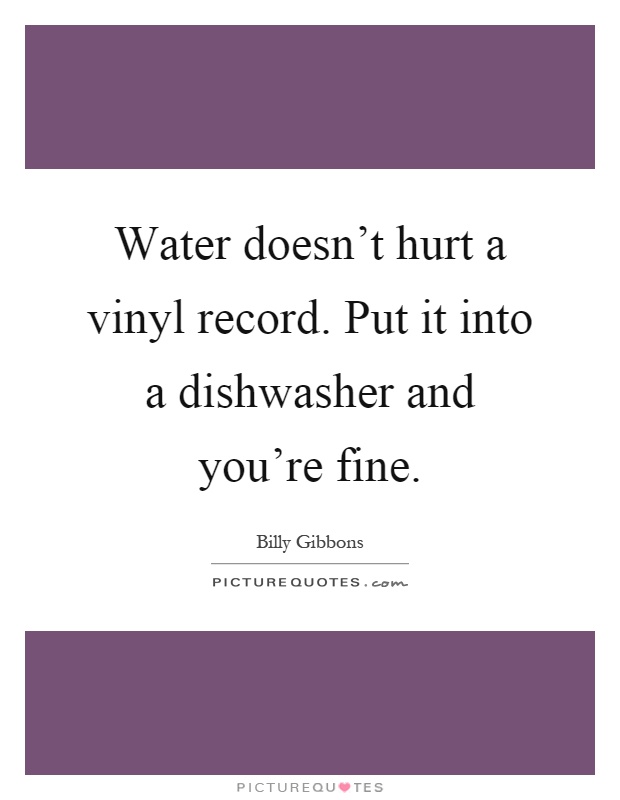 Water doesn't hurt a vinyl record. Put it into a dishwasher and you're fine Picture Quote #1
