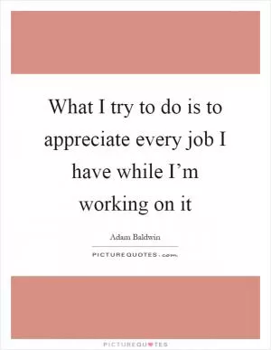 What I try to do is to appreciate every job I have while I’m working on it Picture Quote #1
