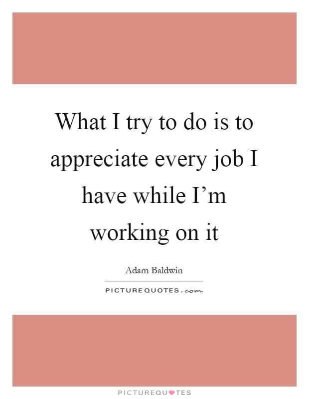 What I try to do is to appreciate every job I have while I'm working on it Picture Quote #1