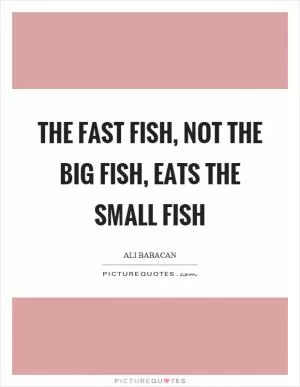 The fast fish, not the big fish, eats the small fish Picture Quote #1