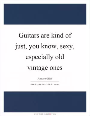 Guitars are kind of just, you know, sexy, especially old vintage ones Picture Quote #1