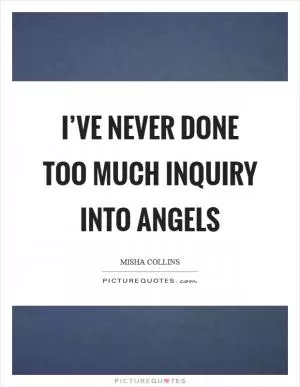 I’ve never done too much inquiry into angels Picture Quote #1