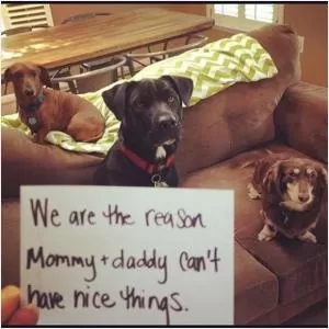 We are the reason mommy and daddy can’t have nice things Picture Quote #1