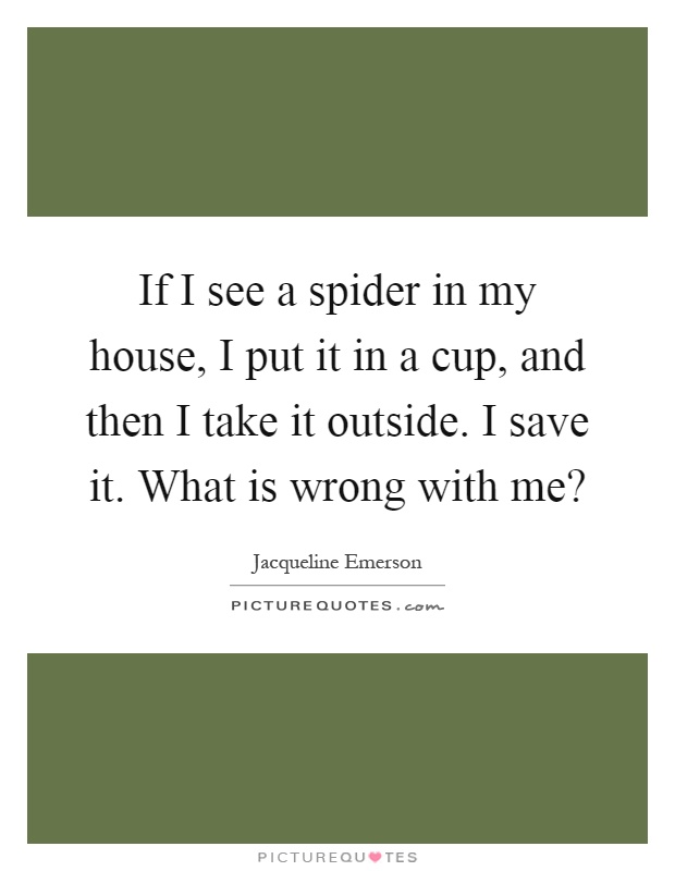 If I see a spider in my house, I put it in a cup, and then I take it outside. I save it. What is wrong with me? Picture Quote #1