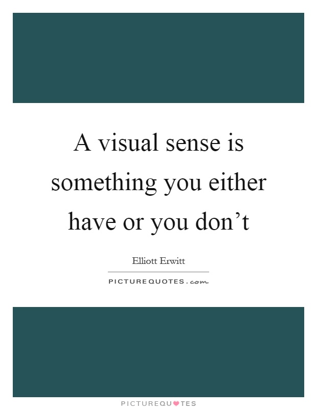 A visual sense is something you either have or you don't Picture Quote #1