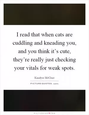 I read that when cats are cuddling and kneading you, and you think it’s cute, they’re really just checking your vitals for weak spots Picture Quote #1