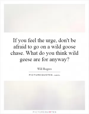 If you feel the urge, don't be afraid to go on a wild goose chase. What do you think wild geese are for anyway? Picture Quote #1