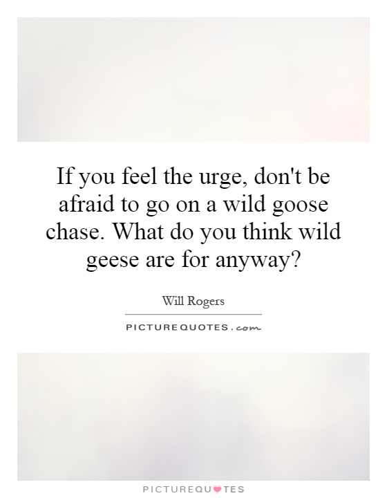 If you feel the urge, don't be afraid to go on a wild goose chase. What do you think wild geese are for anyway? Picture Quote #1