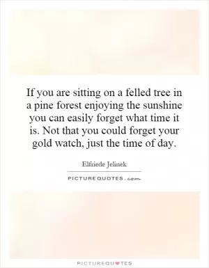 If you are sitting on a felled tree in a pine forest enjoying the sunshine you can easily forget what time it is. Not that you could forget your gold watch, just the time of day Picture Quote #1