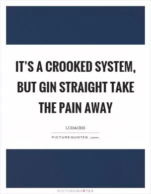 It’s a crooked system, but gin straight take the pain away Picture Quote #1
