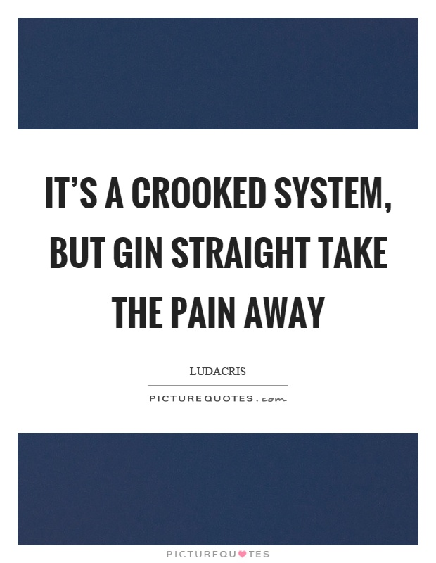 It's a crooked system, but gin straight take the pain away Picture Quote #1