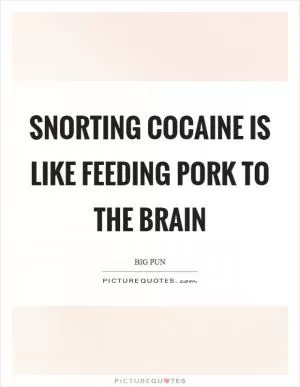 Snorting cocaine is like feeding pork to the brain Picture Quote #1
