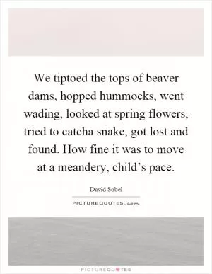 We tiptoed the tops of beaver dams, hopped hummocks, went wading, looked at spring flowers, tried to catcha snake, got lost and found. How fine it was to move at a meandery, child’s pace Picture Quote #1