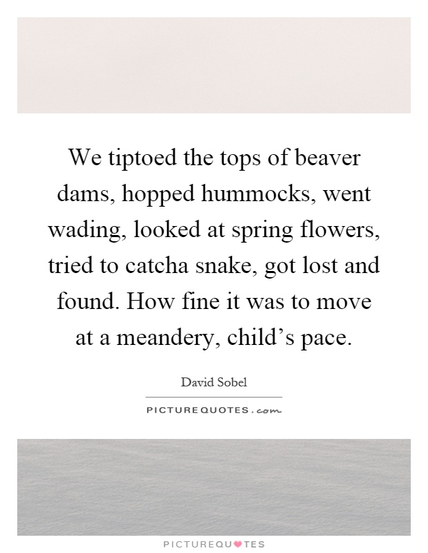 We tiptoed the tops of beaver dams, hopped hummocks, went wading, looked at spring flowers, tried to catcha snake, got lost and found. How fine it was to move at a meandery, child's pace Picture Quote #1