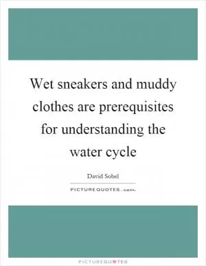 Wet sneakers and muddy clothes are prerequisites for understanding the water cycle Picture Quote #1