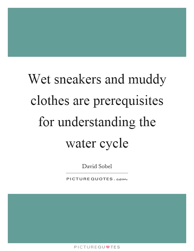 Wet sneakers and muddy clothes are prerequisites for understanding the water cycle Picture Quote #1