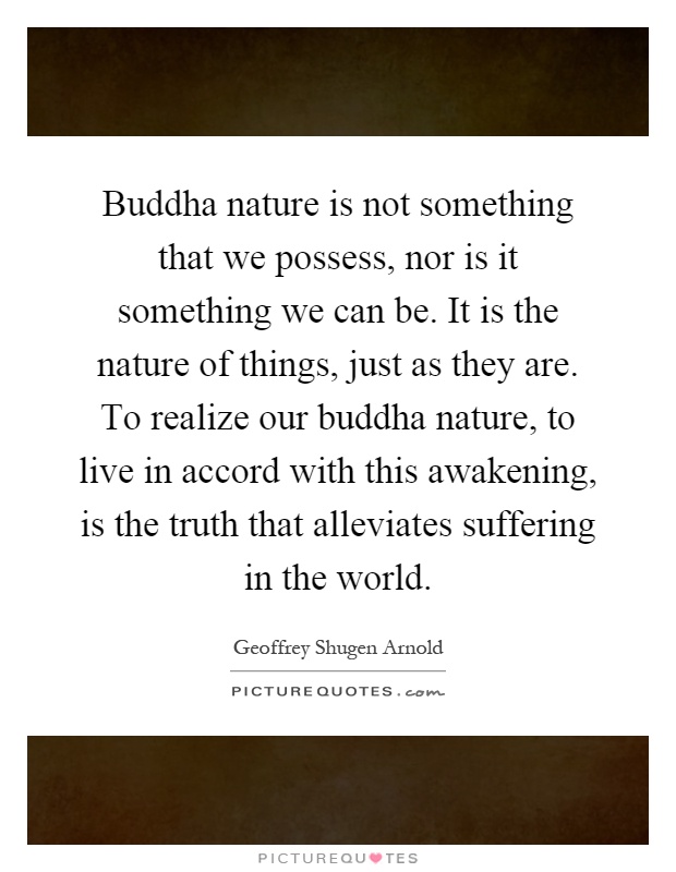 Buddha nature is not something that we possess, nor is it something we can be. It is the nature of things, just as they are. To realize our buddha nature, to live in accord with this awakening, is the truth that alleviates suffering in the world Picture Quote #1