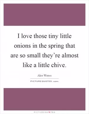 I love those tiny little onions in the spring that are so small they’re almost like a little chive Picture Quote #1