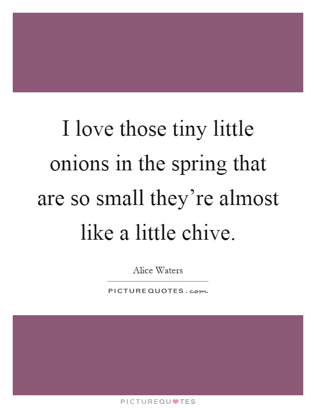 I love those tiny little onions in the spring that are so small they're almost like a little chive Picture Quote #1