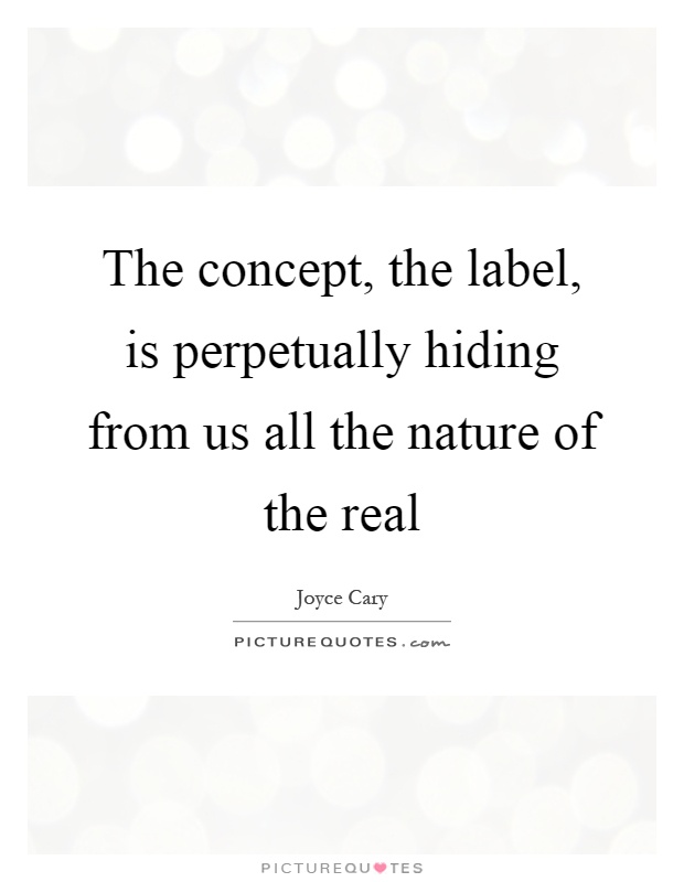 The concept, the label, is perpetually hiding from us all the nature of the real Picture Quote #1